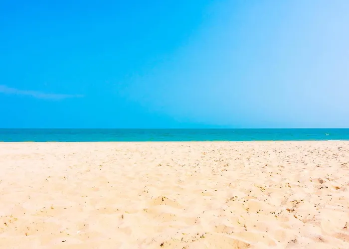 Отель Primorski 3*