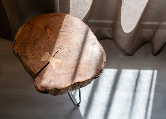 מלון Primorski 3*